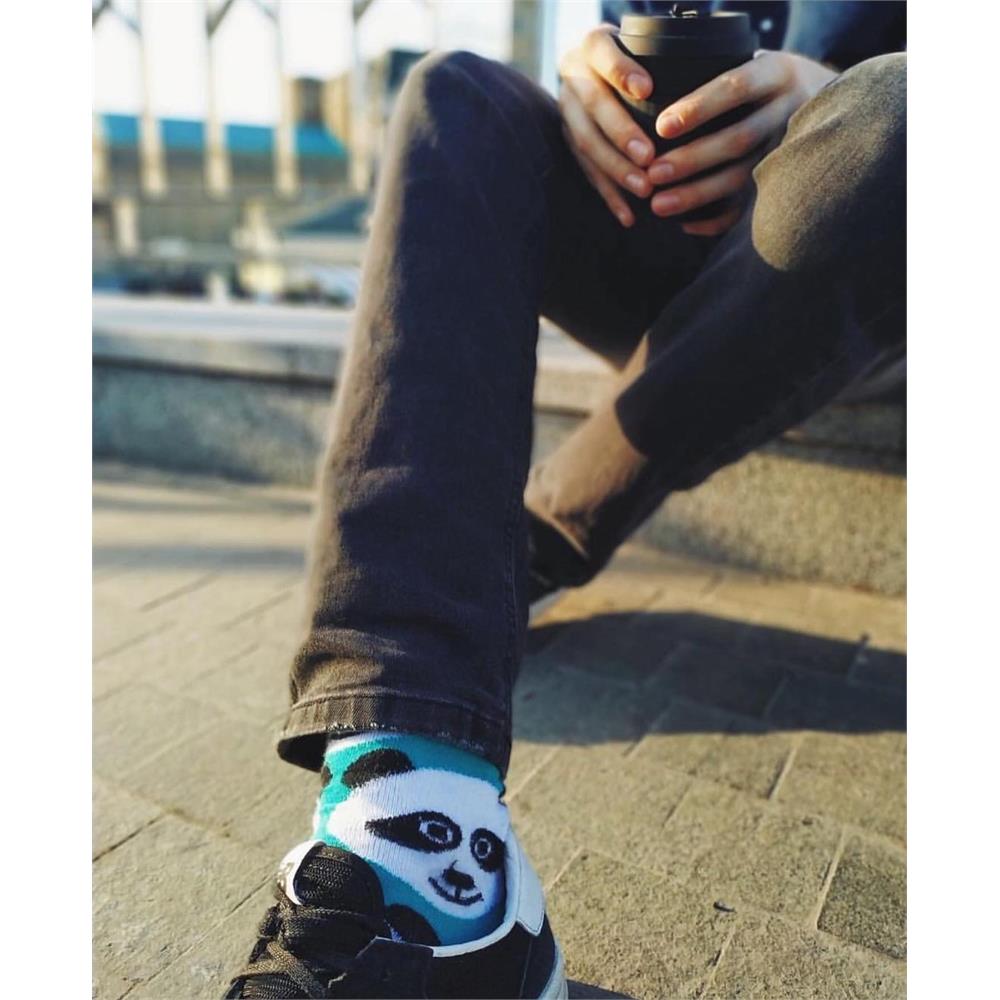 PANDA SOCKS 