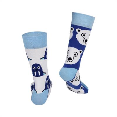 SEA LION - BEAR SOCKS 